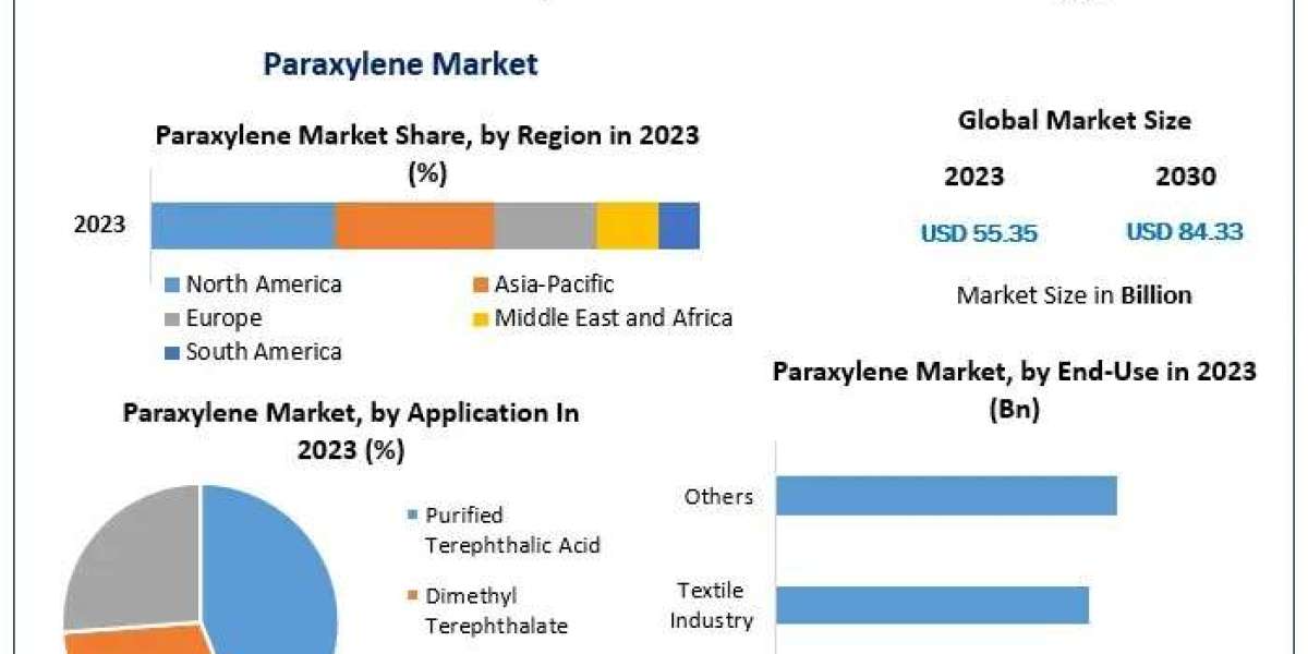 Paraxylene Market Analysis: Key Players, Innovations, and Future Prospects 2030