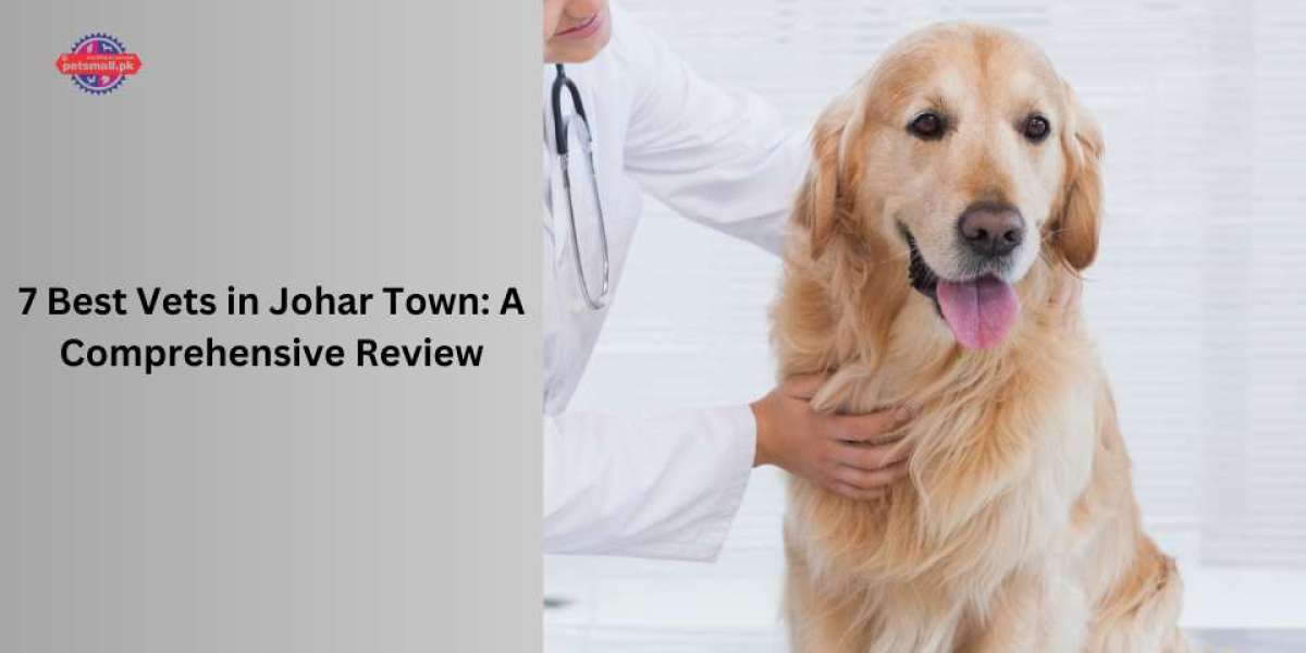 7 Best Vets in Johar Town: A Comprehensive Review