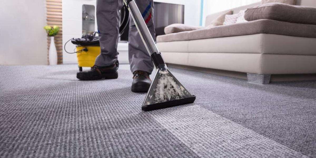 Stains Don’t Stand a Chance: Professional Carpet Cleaning Services